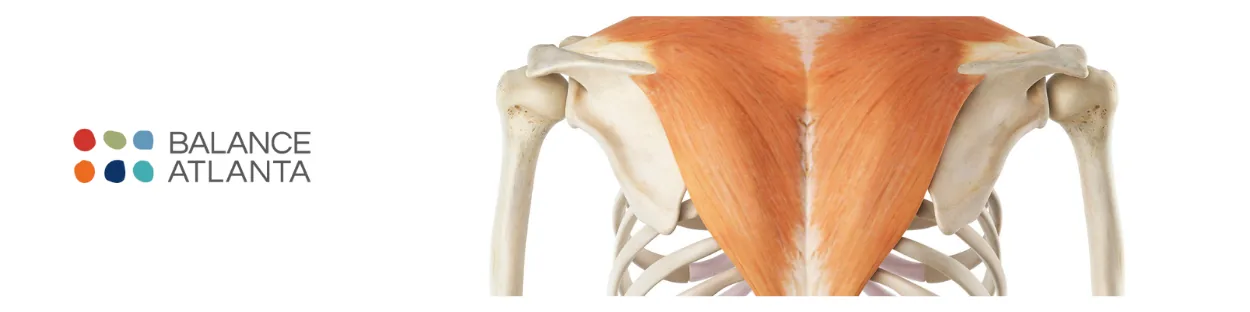 Anatomical illustration of the upper back and shoulders highlighting the trapezius muscle, with the Balance Atlanta logo at left.