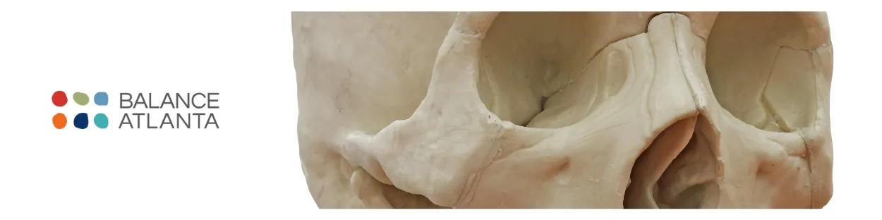 Close-up of a skull model showing the nasal cavity and cheekbone, with the Balance Atlanta logo to the left.