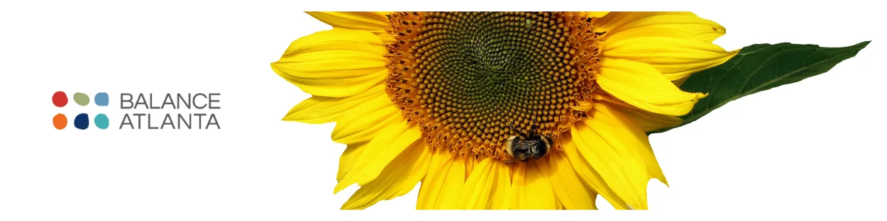 Yellow sunflower head with a bee on a petal and the Balance Atlanta logo on a white background.