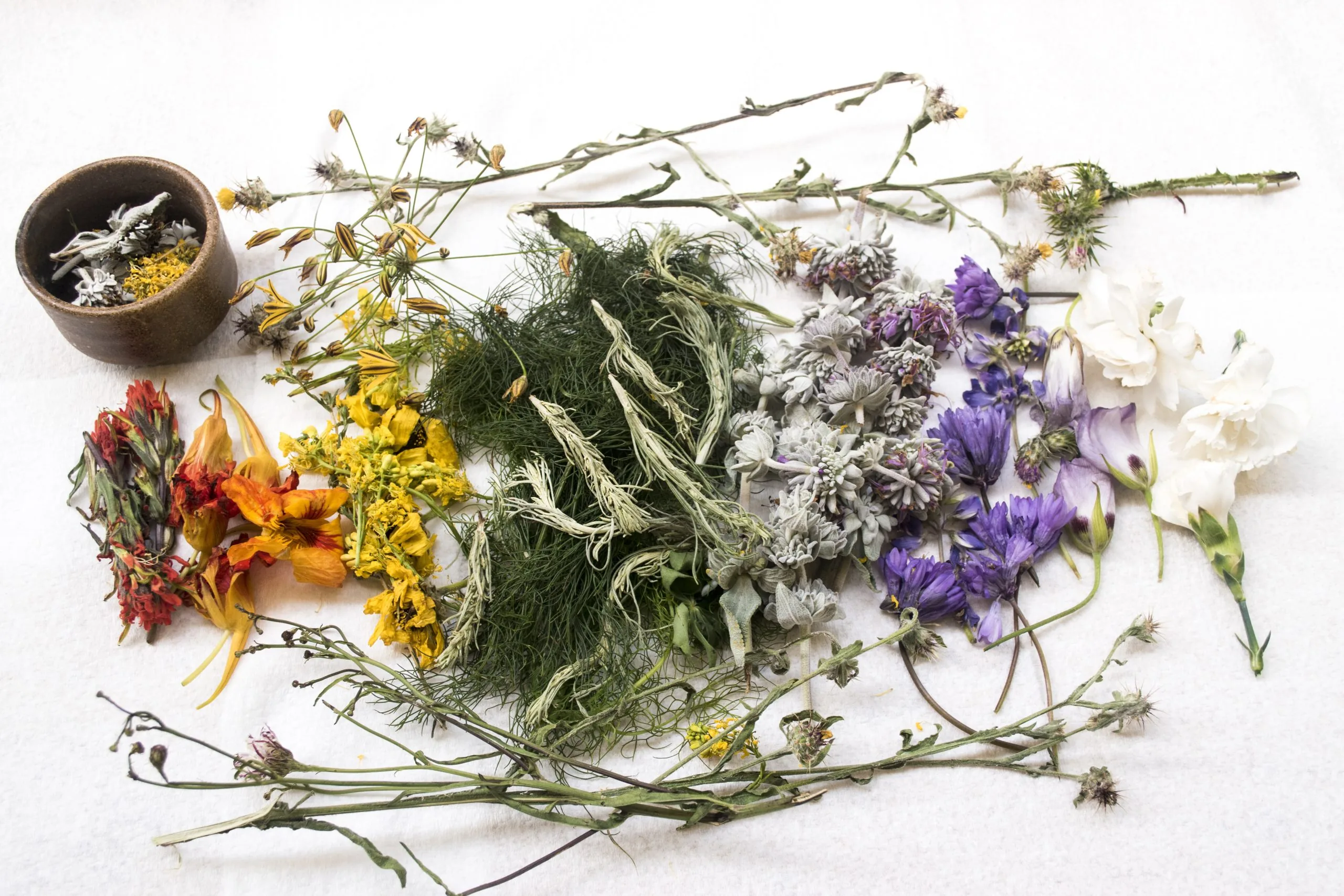 Assorted dried herbs and flowers arranged beside a small ceramic bowl on a white background