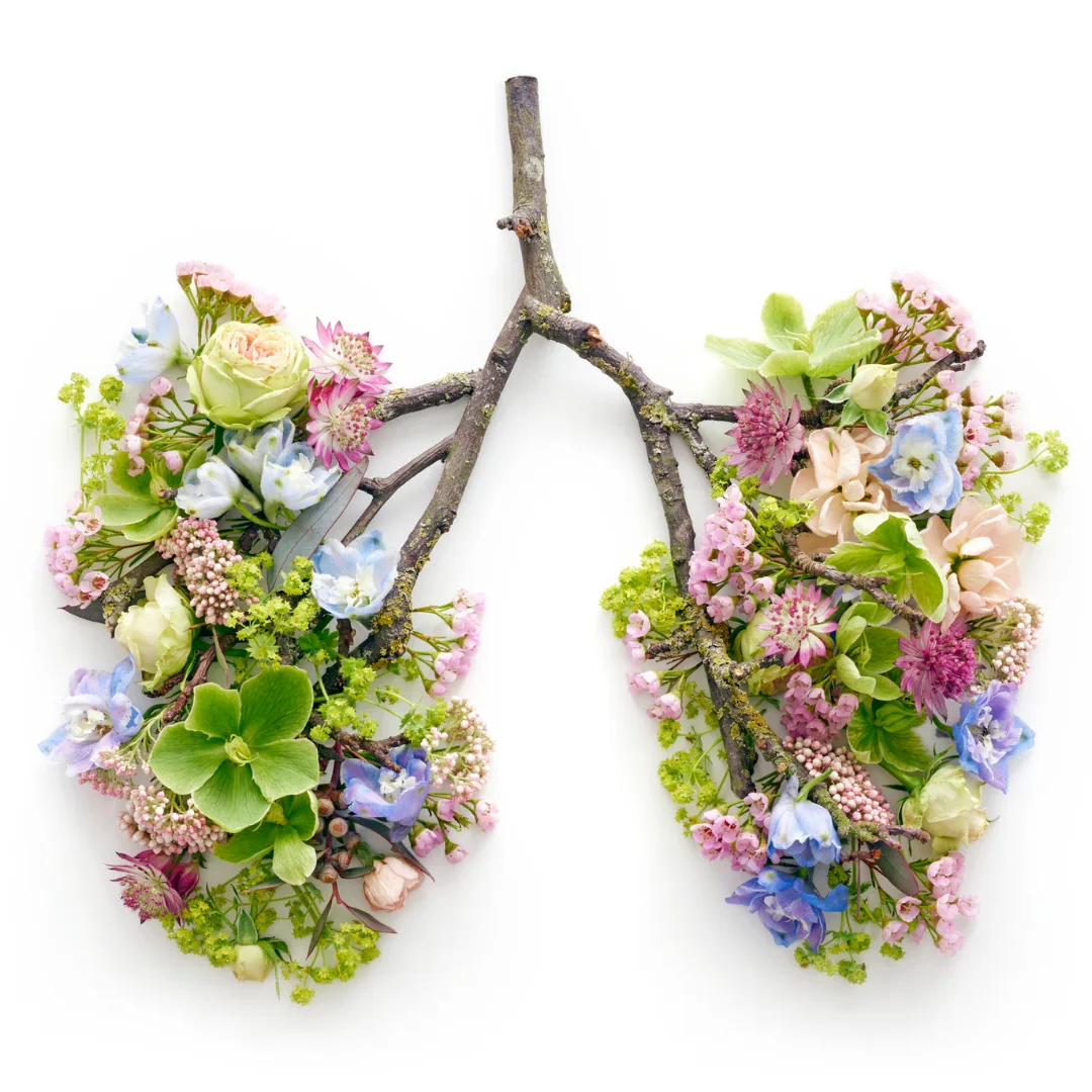 Branch-and-flower arrangement shaped like lungs, pastel blooms and greenery evoking seasonal allergies and respiratory health
