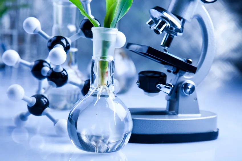 Plant cutting with visible roots in a round glass flask of water on a lab surface, with a molecular model and microscope blurred in the background.