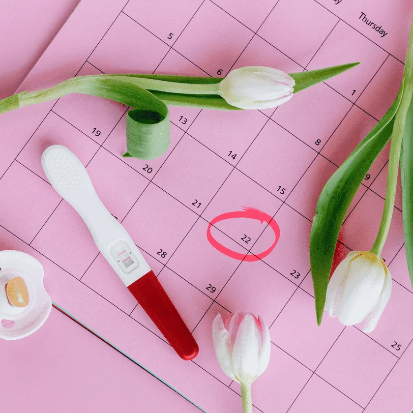 Home pregnancy test stick and pacifier on a pink calendar with the 22nd circled, surrounded by white tulips.