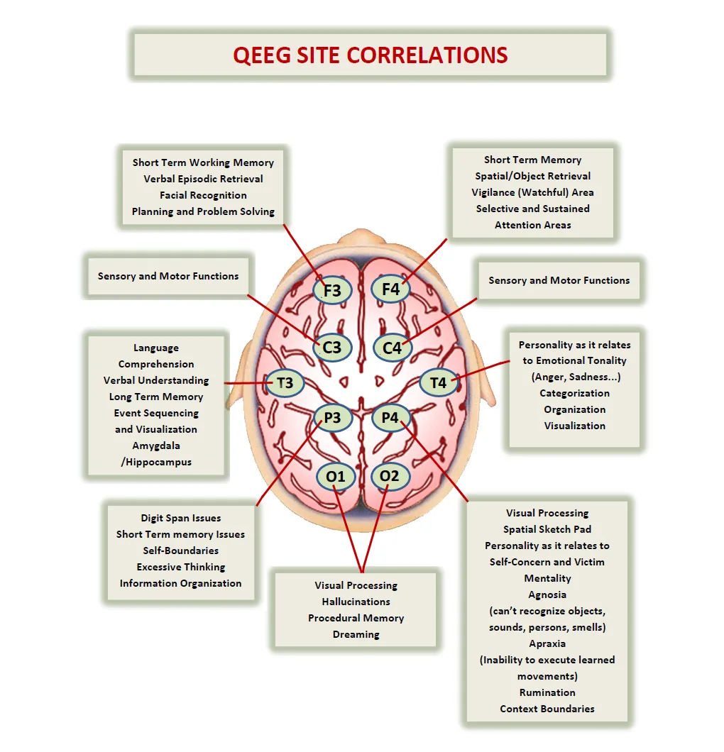 Top-down brain diagram showing QEEG site labels (F3, F4, C3, C4, T3, T4, P3, P4, O1, O2) with text boxes linking each site to functions like memory, language, sensory-motor, and visual processing.