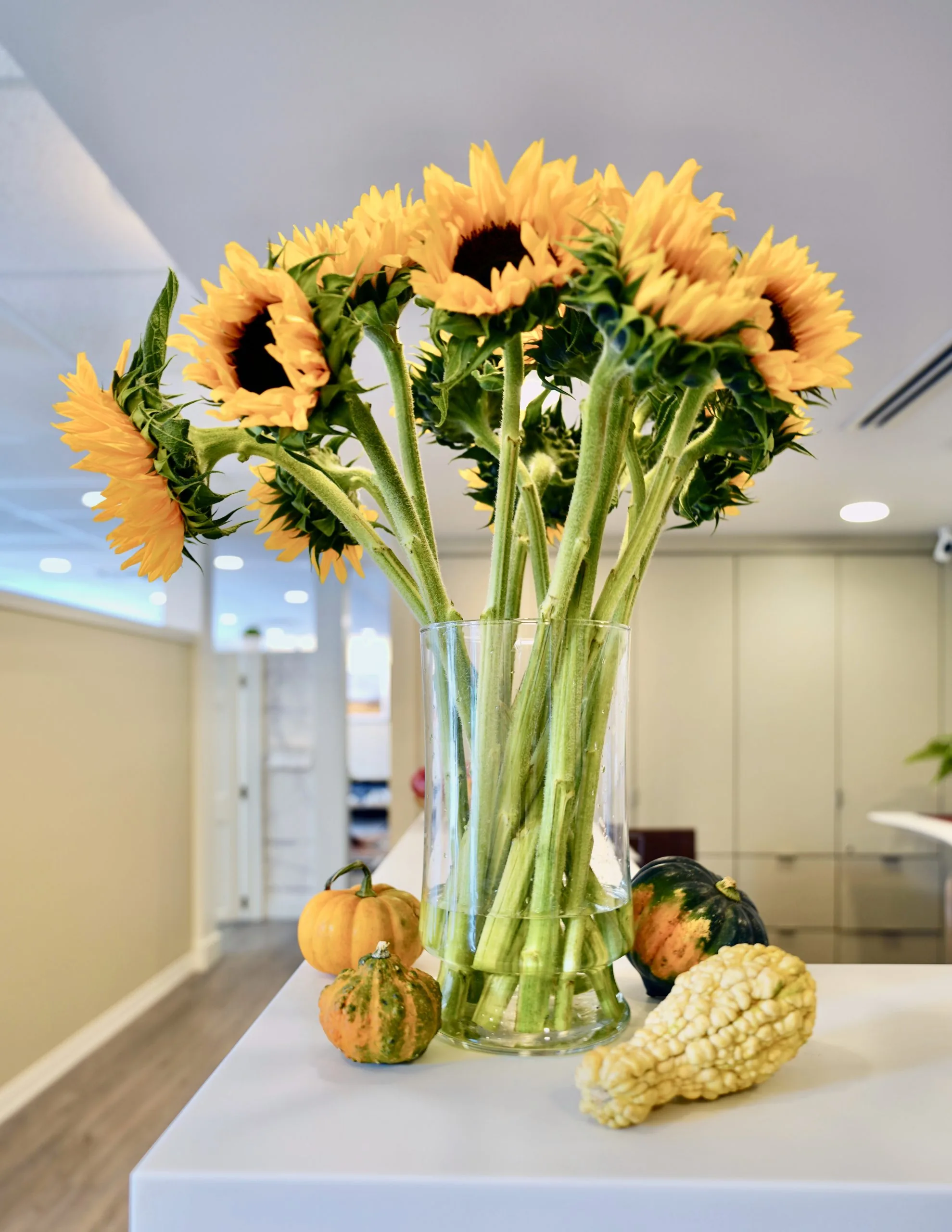 Yellow sunflowers in a glass vase on a reception counter with small decorative gourds.