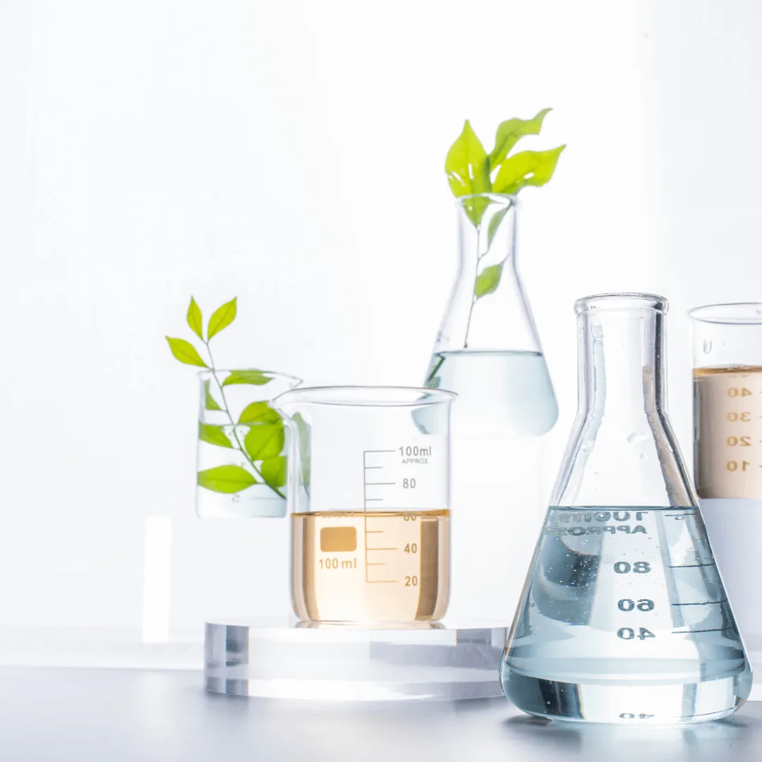 Assortment of lab glassware (beakers and flasks) holding clear and amber liquids and small green plant stems against a white background.